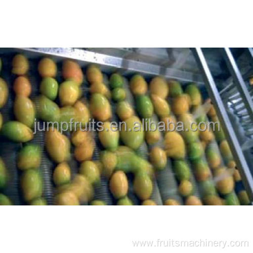 Industrial dried mango processing machine